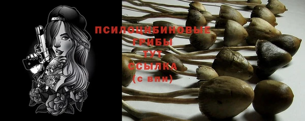 хмурый Медвежьегорск