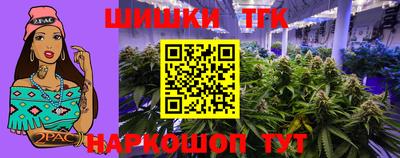 гидра Гатчина
