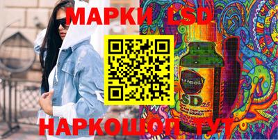гидра Гатчина