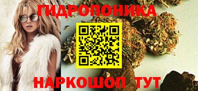 гидра Гатчина