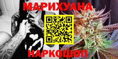крисы Гай