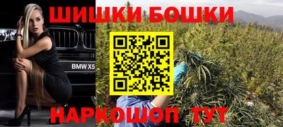 крисы Гай