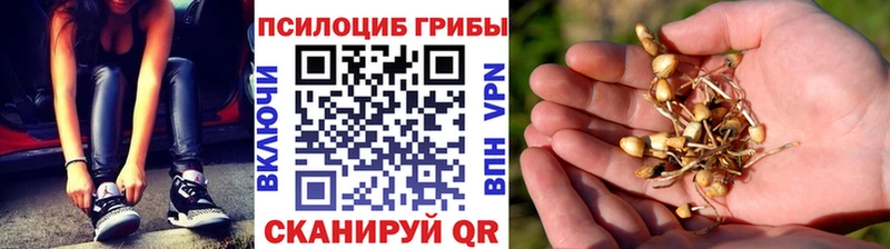 Галлюциногенные грибы GOLDEN TEACHER  где можно купить наркотик  Сургут 