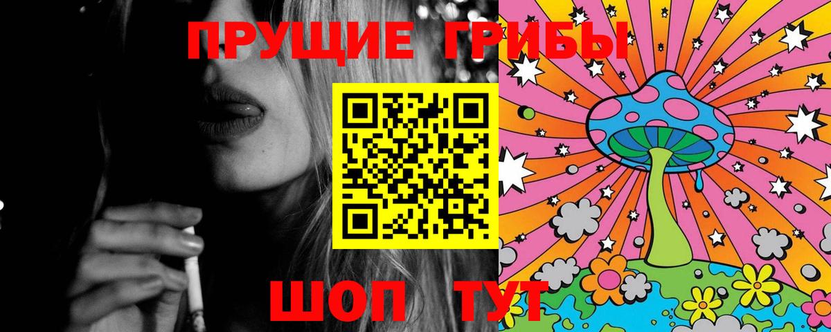 Сургут  Псилоцибиновые грибы Cubensis  купить наркотик  Вход с VPN 