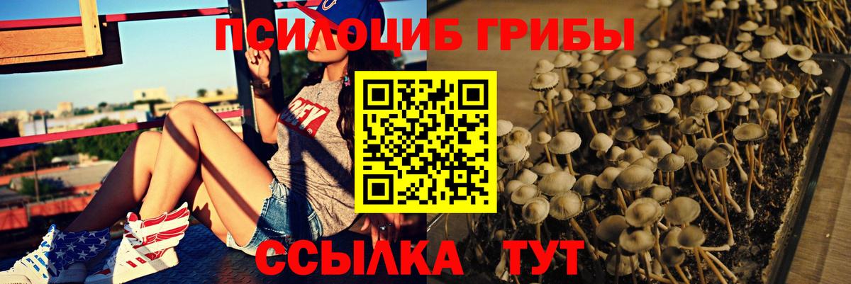 Галлюциногенные грибы прущие грибы  Сургут 